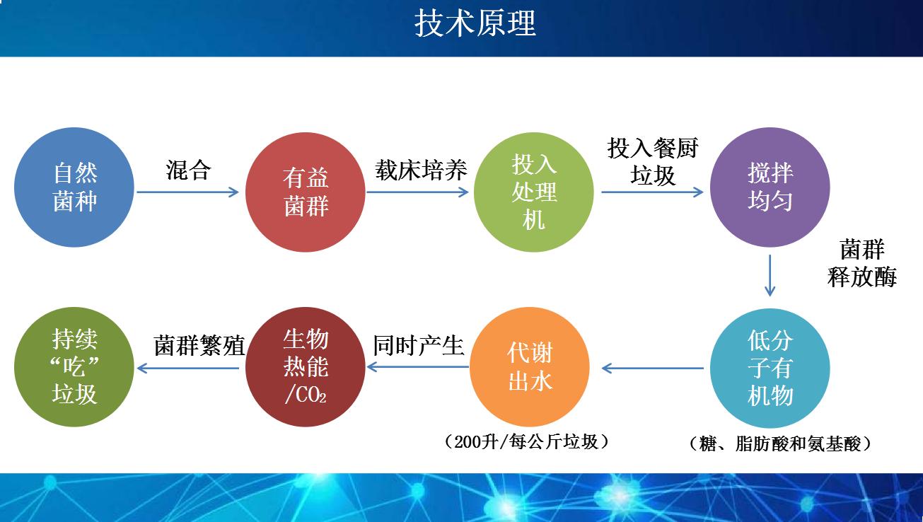 微生物处理技术的应用原理