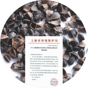 菌种