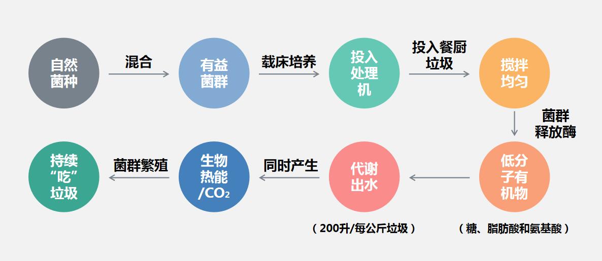 餐厨垃圾微生物处理技术