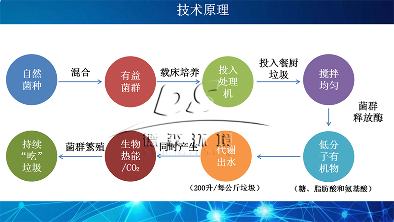 易腐质垃圾处理设备